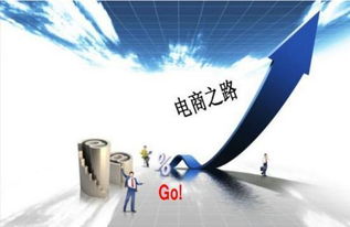電子商務專業畢業生職業選擇 聚焦商務服務領域